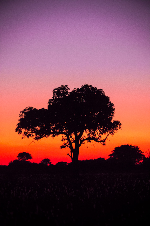 Okavango Delta, Botswana