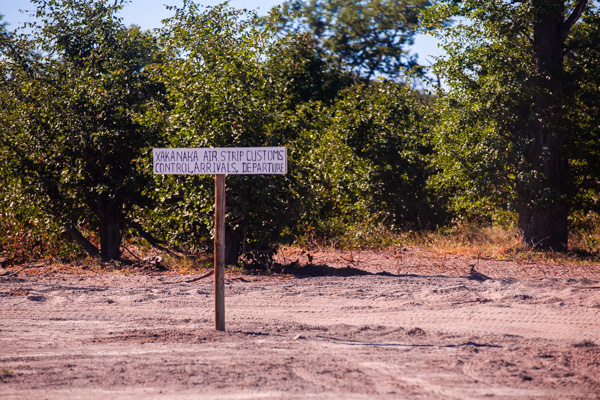 https://en.wikipedia.org/wiki/Springbok