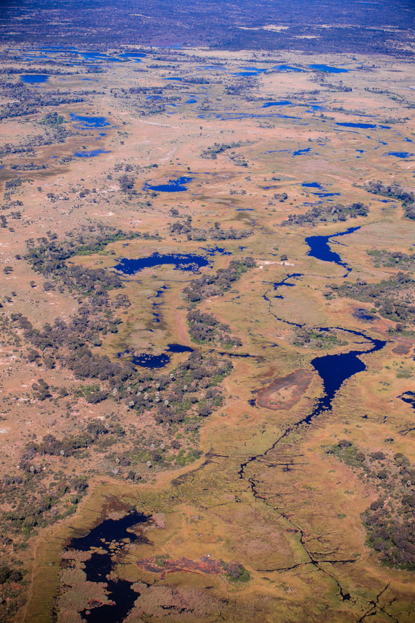 Okavango Delta, Botswana