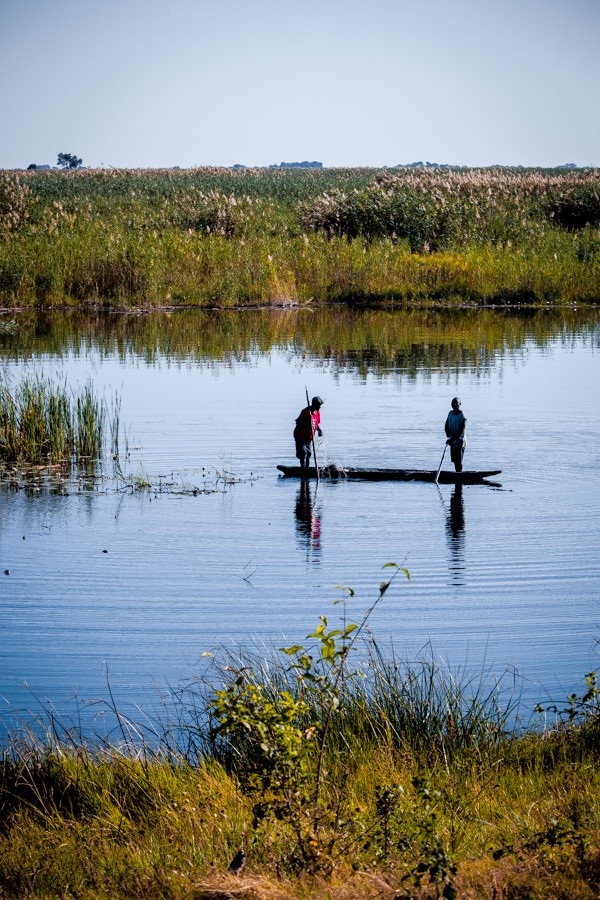 Chobe National Park, Botswana