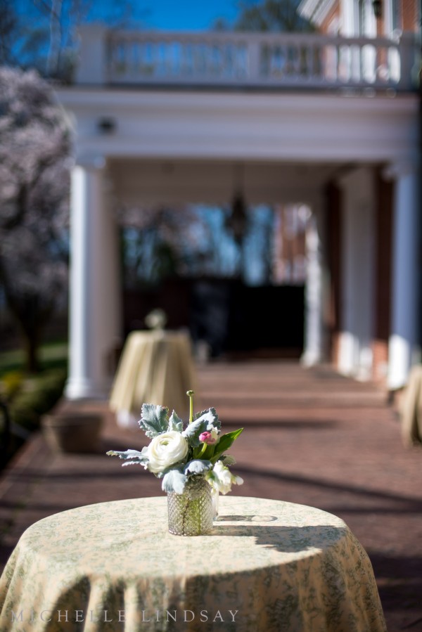 Oxon Hill Wedding | Michelle Lindsay Photography