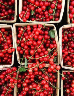 Fresh Red Currants