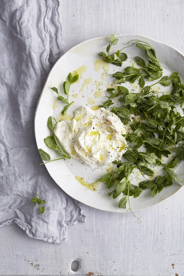 12 Delicious Burrata Recipes To Make This Summer A Beautiful Plate