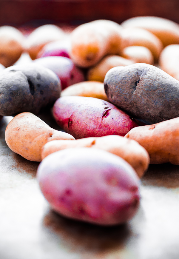 Red Purple and Yellow Fingerling Potatoes 