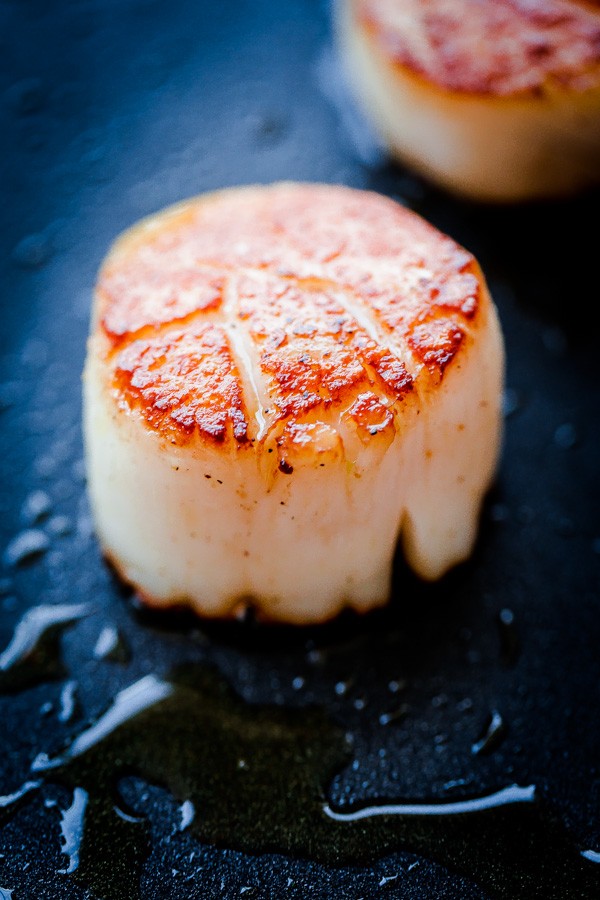 Seared Bay Scallops 