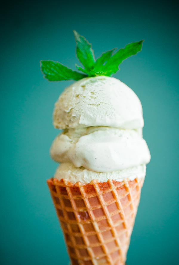 Fresh Vanilla Mint Ice Cream. This ice cream is flavored with fresh mint leaves only and is so refreshing!