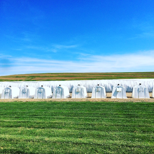 Ohio Dairy Farms