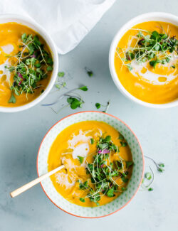 Vegan Garam Masala Carrot Soup
