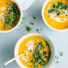 Vegan Garam Masala Carrot Soup