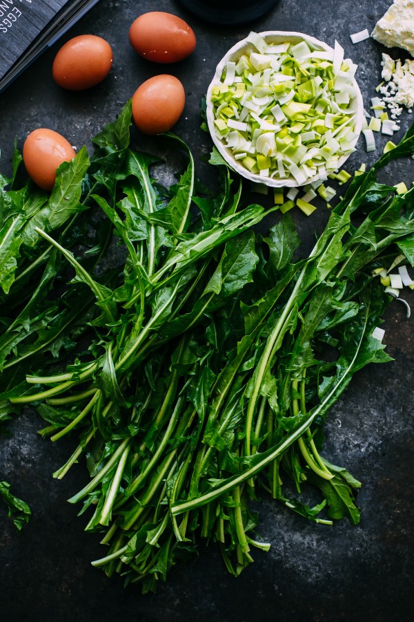 Fresh Dandelion Greens