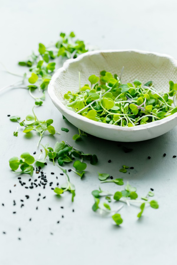 Microgreens in Bowl