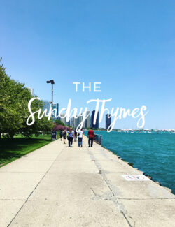 The Sunday Thymes