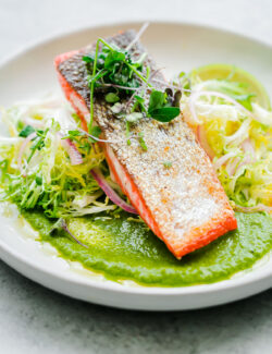 Seared Sockeye Salmon with Green Adobo Sauce and Frisée Salad. This elegant main course recipe can be prepared in less than 45 minutes!