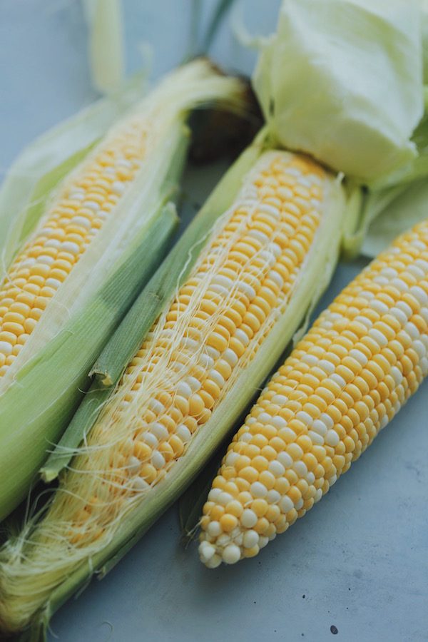 Fresh Corn on the Cob