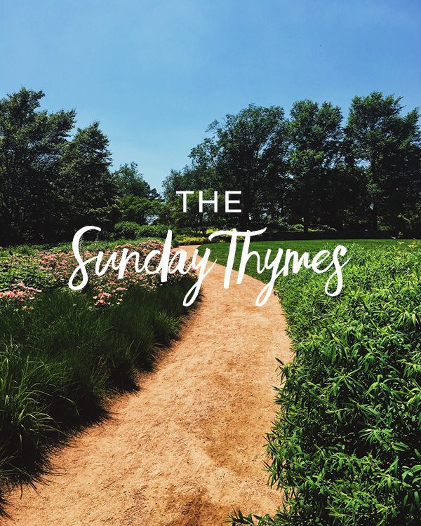 The Sunday Thymes 