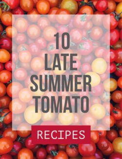 Late Summer Tomato Recipes - 10 mouth-watering, delicious recipes using fresh summer tomatoes!