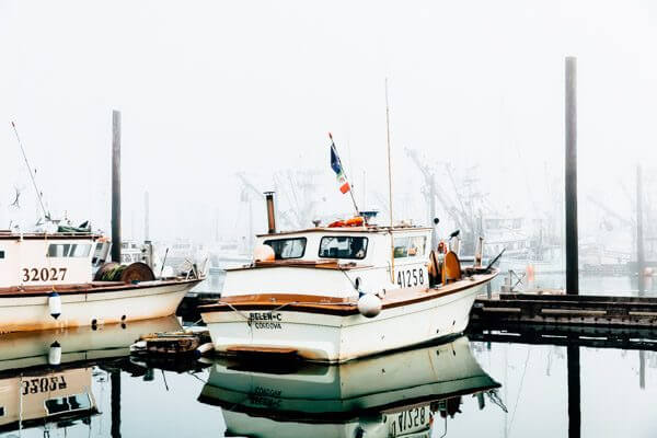 Salmon Fishing in Cordova, Alaska