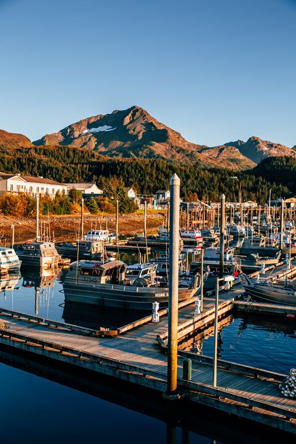 cordovaalaska165 A Beautiful Plate