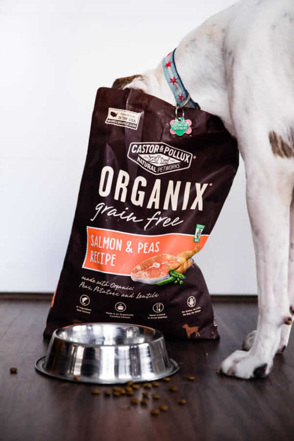 Adventures with Marley - fueled by Organix Grain-Free Dog Food