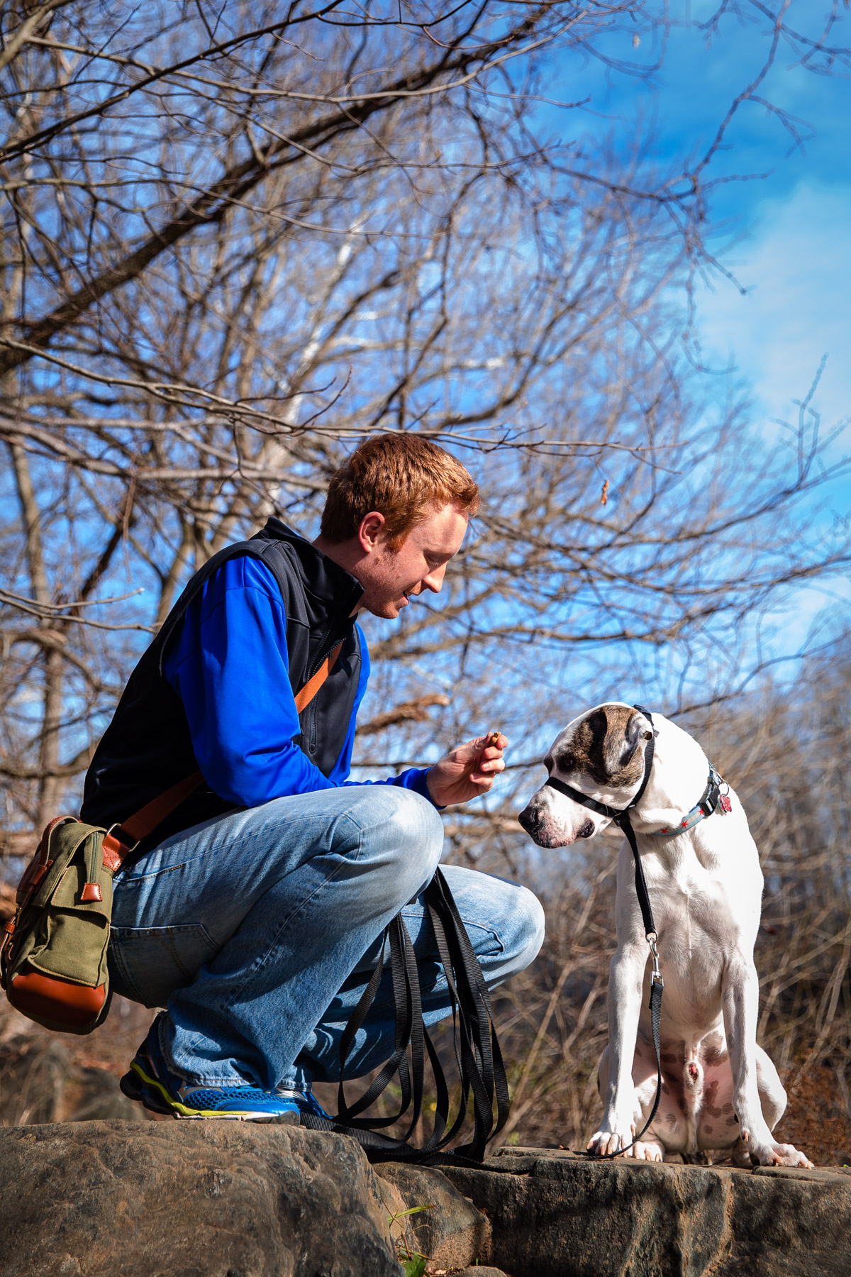 Adventures with Marley - fueled by Organix Grain-Free Dog Food