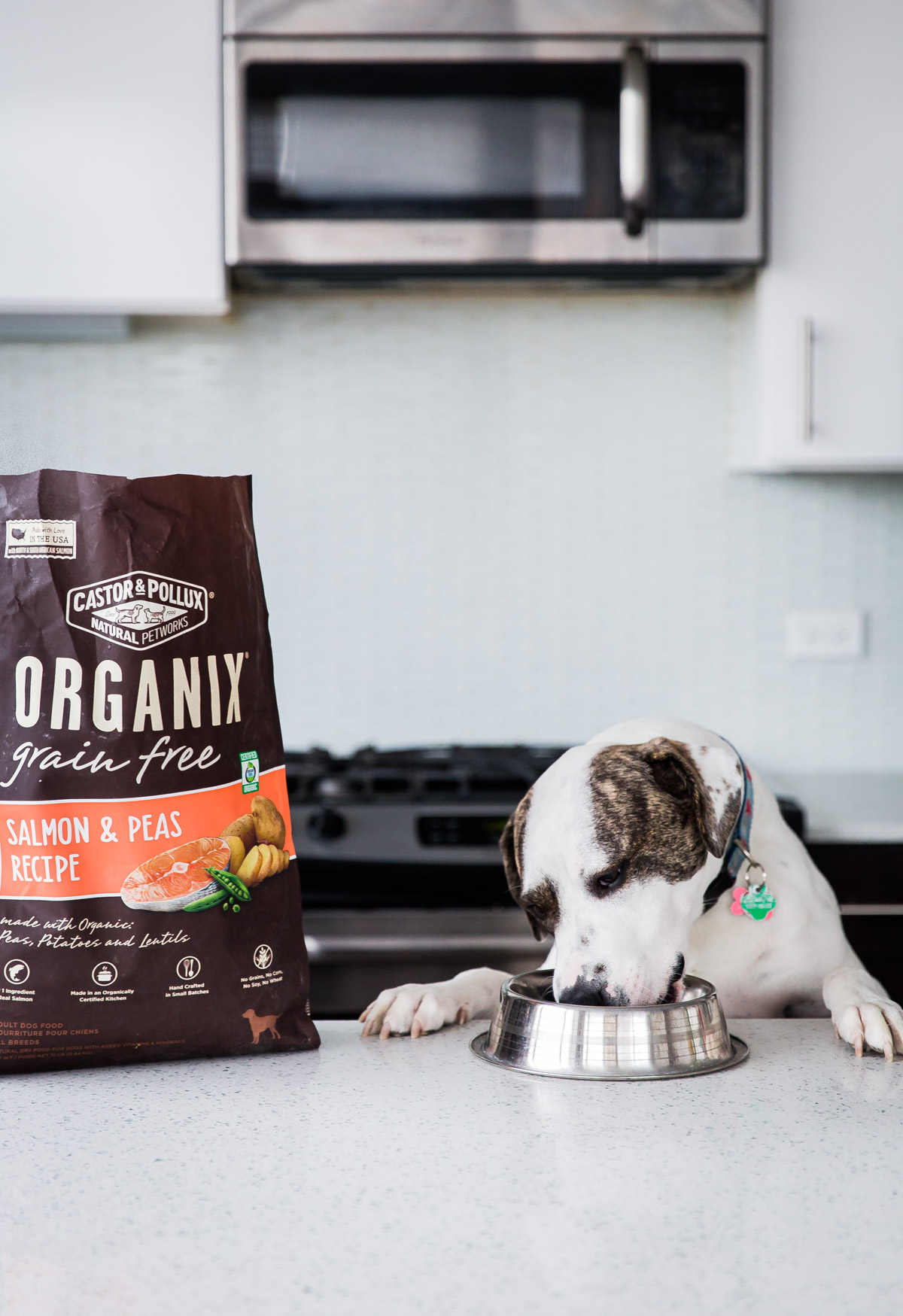 Adventures with Marley - fueled by Organix Grain-Free Dog Food