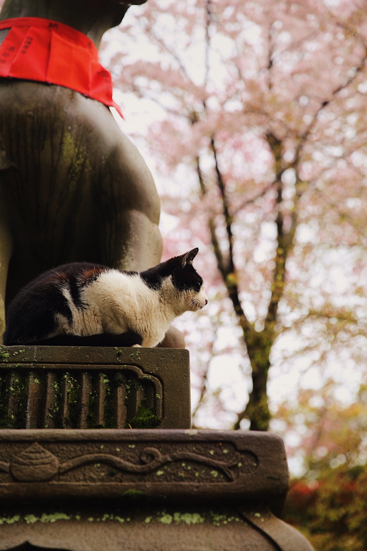 Kyoto Temple