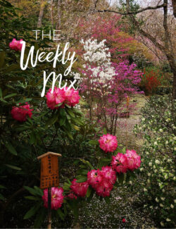 The Weekly Mix - A Beautiful Plate