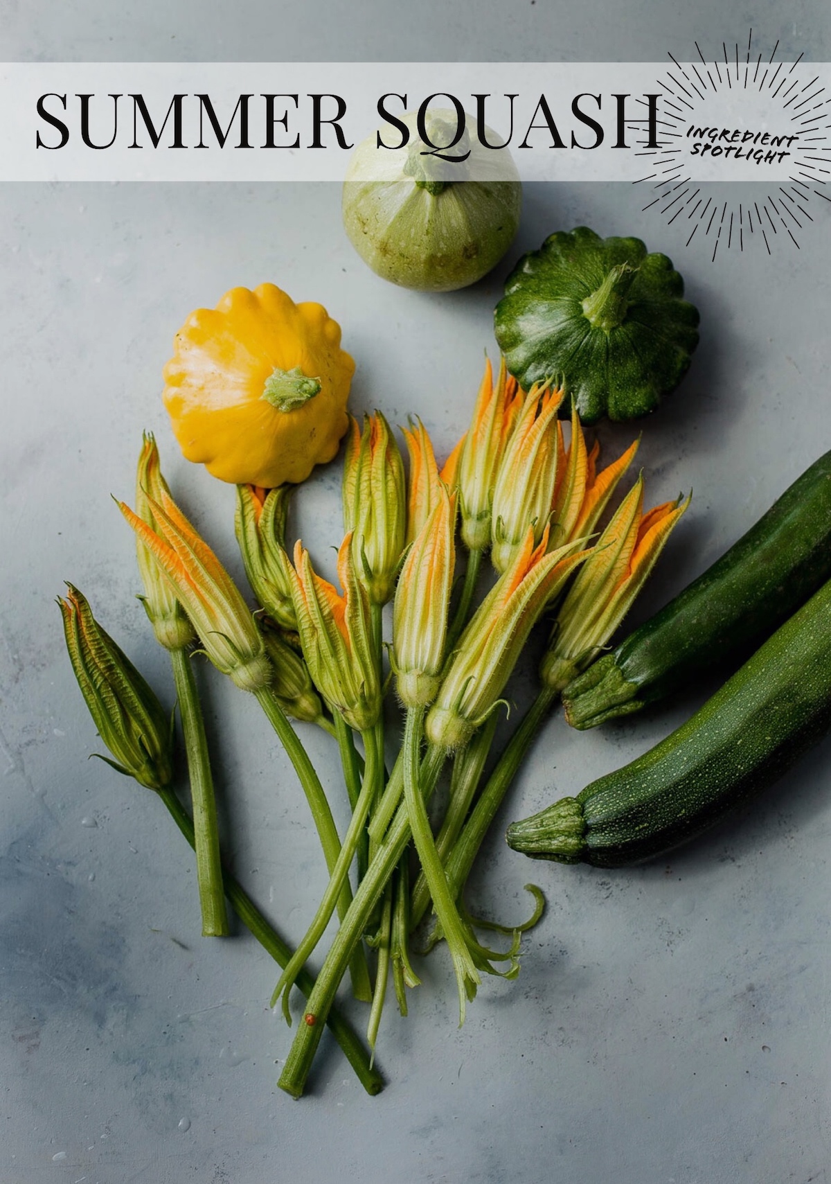 Ingredient Spotlight: Summer Squash. Everything you need to know about this favorite summer vegetable!