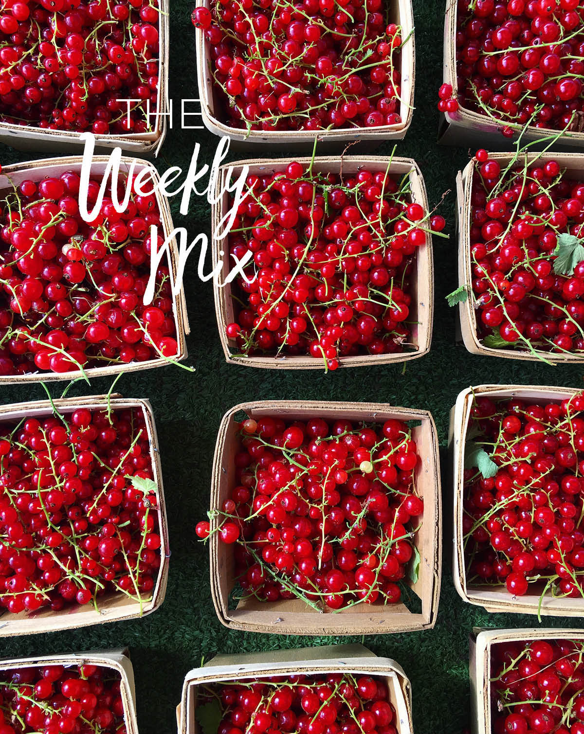 Red Currants