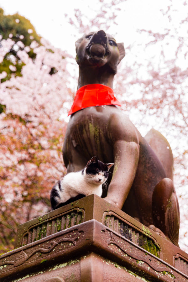 Fushimi Inari Shrine