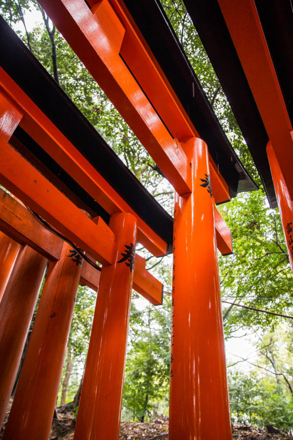 Fushimi Inari Shrine