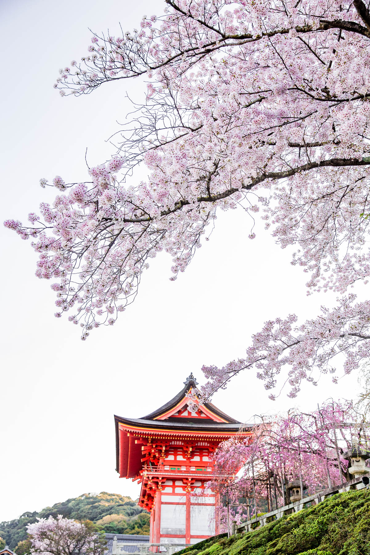 Kiyomizu-dera Temple