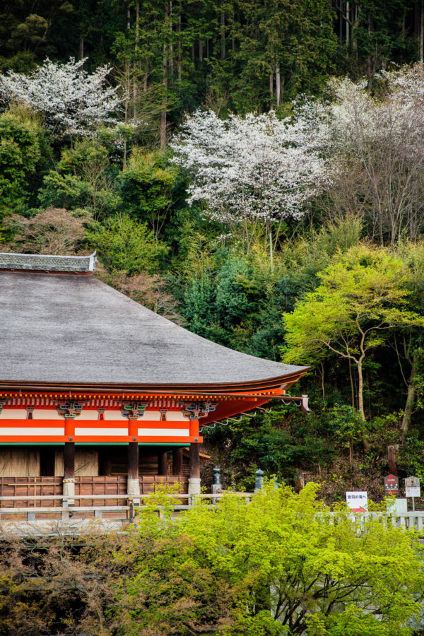 Kiyomizu-dera Temple