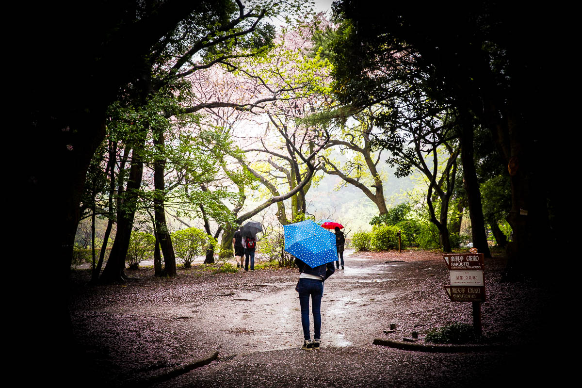 Shinjuku Gyoen National Garden