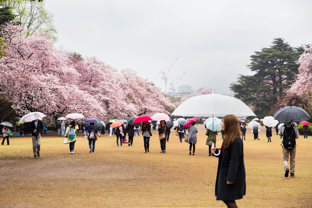 Shinjuku Gyoen National Garden