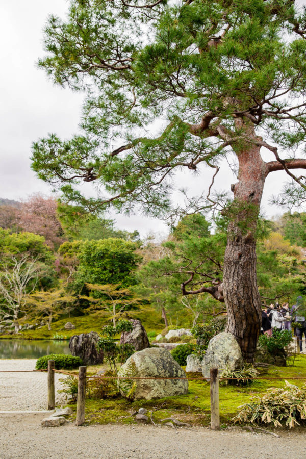 Tenryu-ji Temple