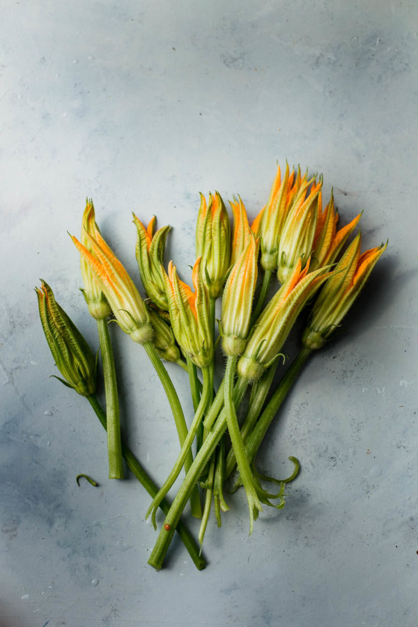 Zucchini Blossoms