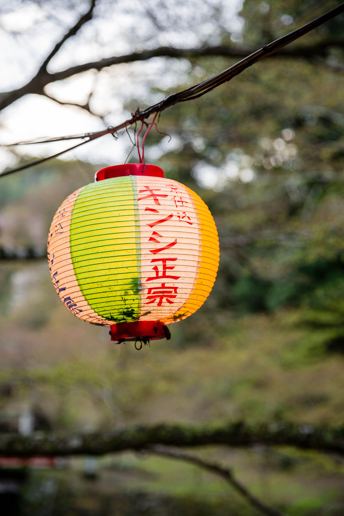 Japanese Lantern