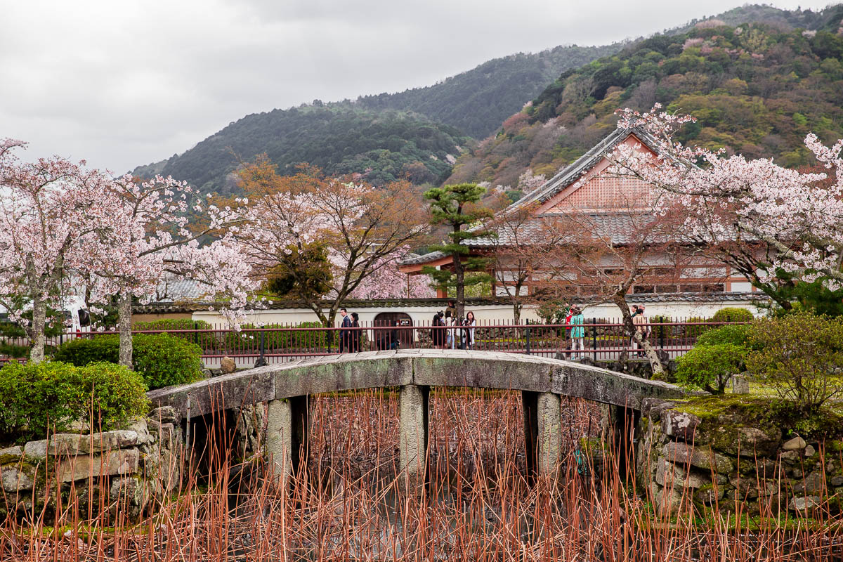 Japanese Bridge