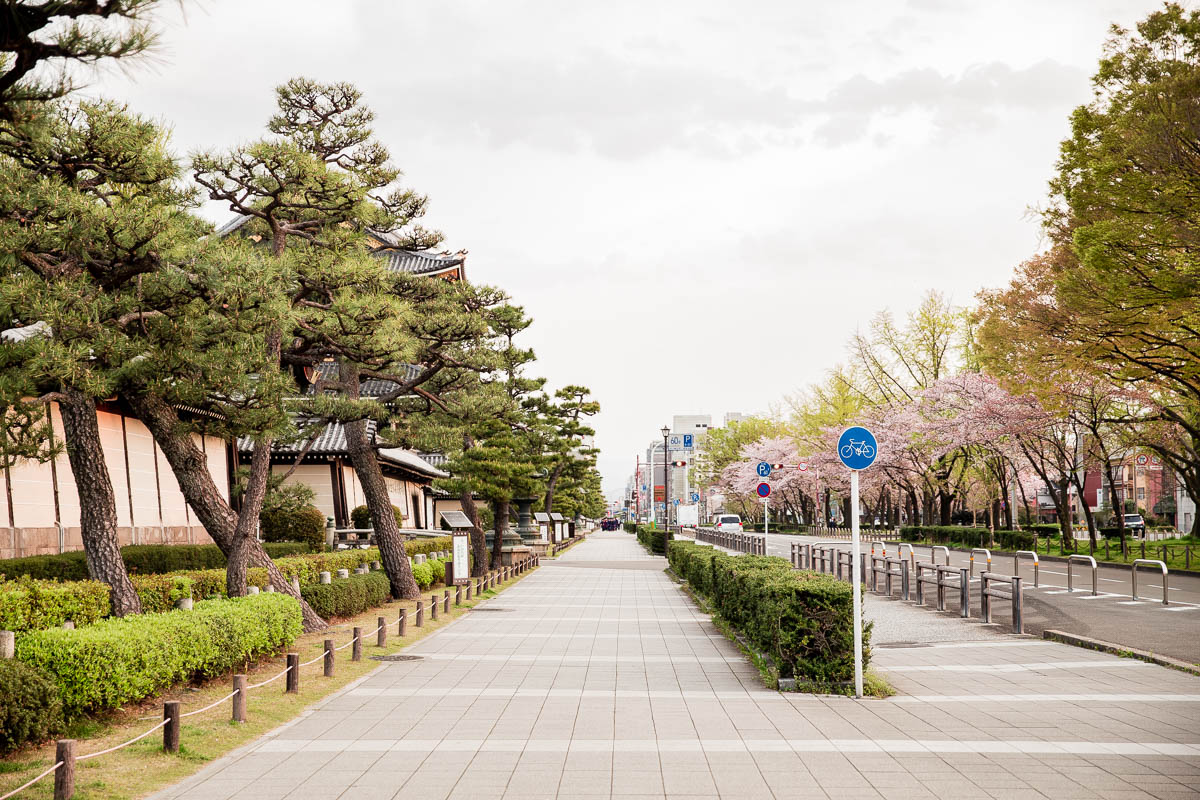 Kyoto Streets