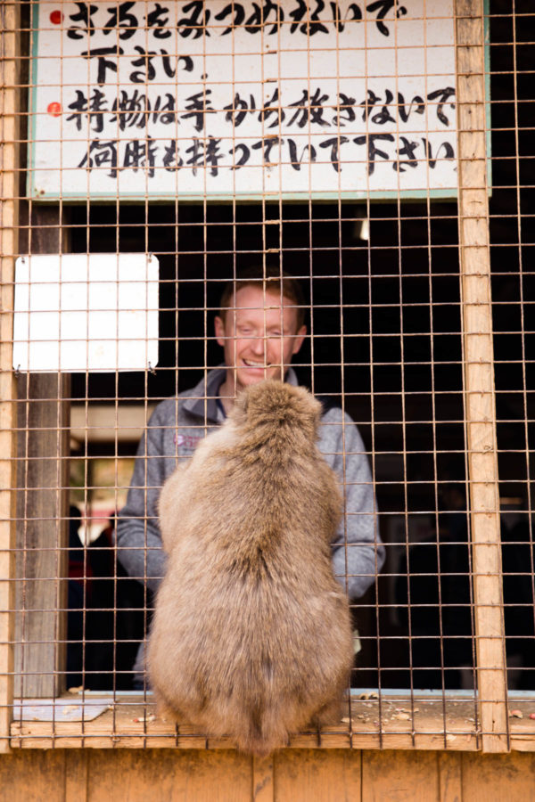 Iwatayama Monkey Park