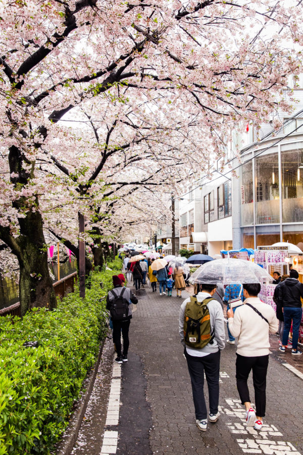 Nakameguro Canal