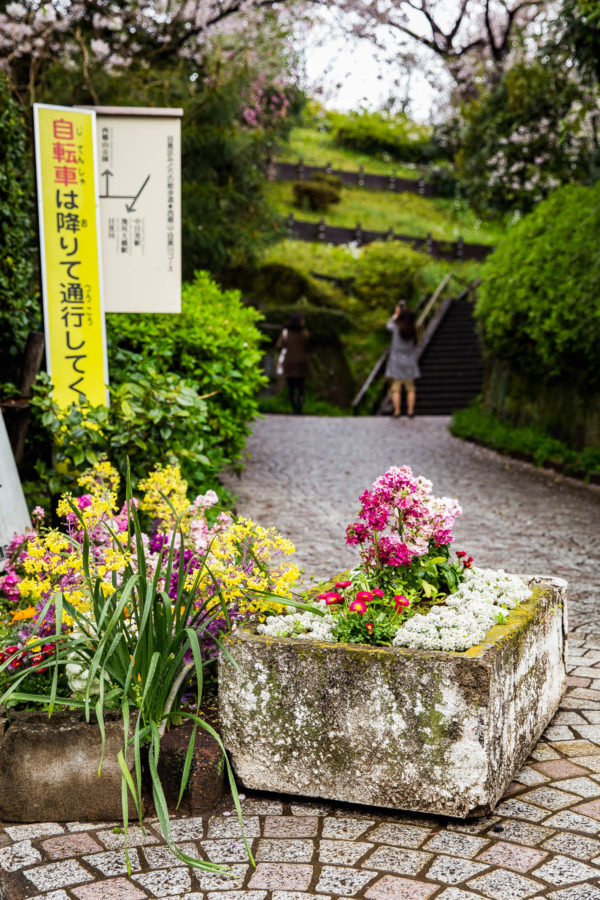 Tokyo Garden