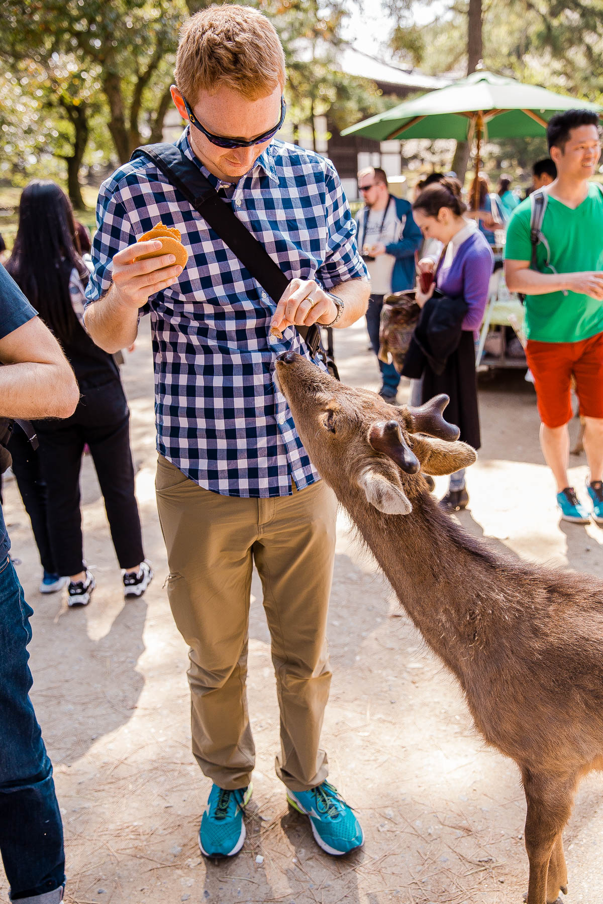 Nara Deer Park