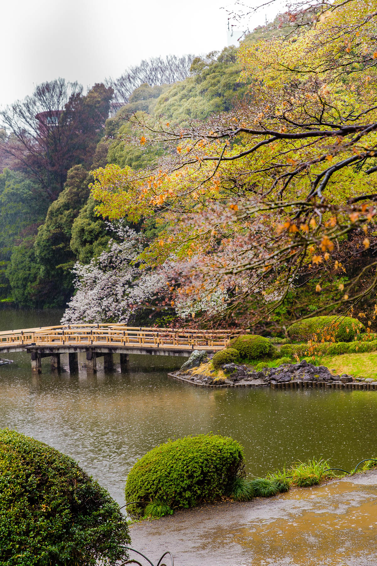 Shinjuku Gyoen National Garden