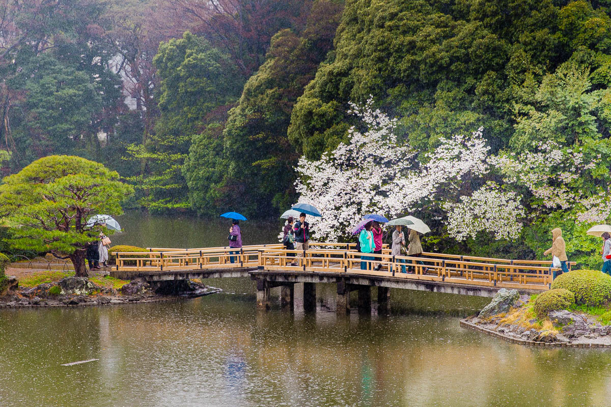 Shinjuku Gyoen National Garden