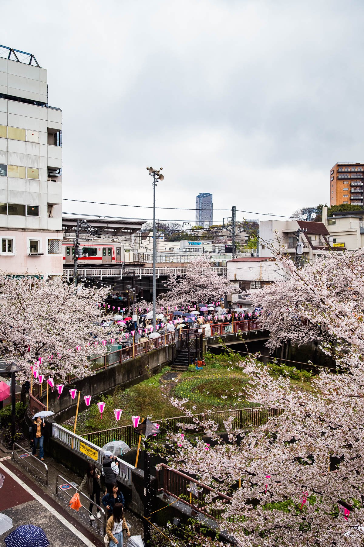 Tokyo Canal