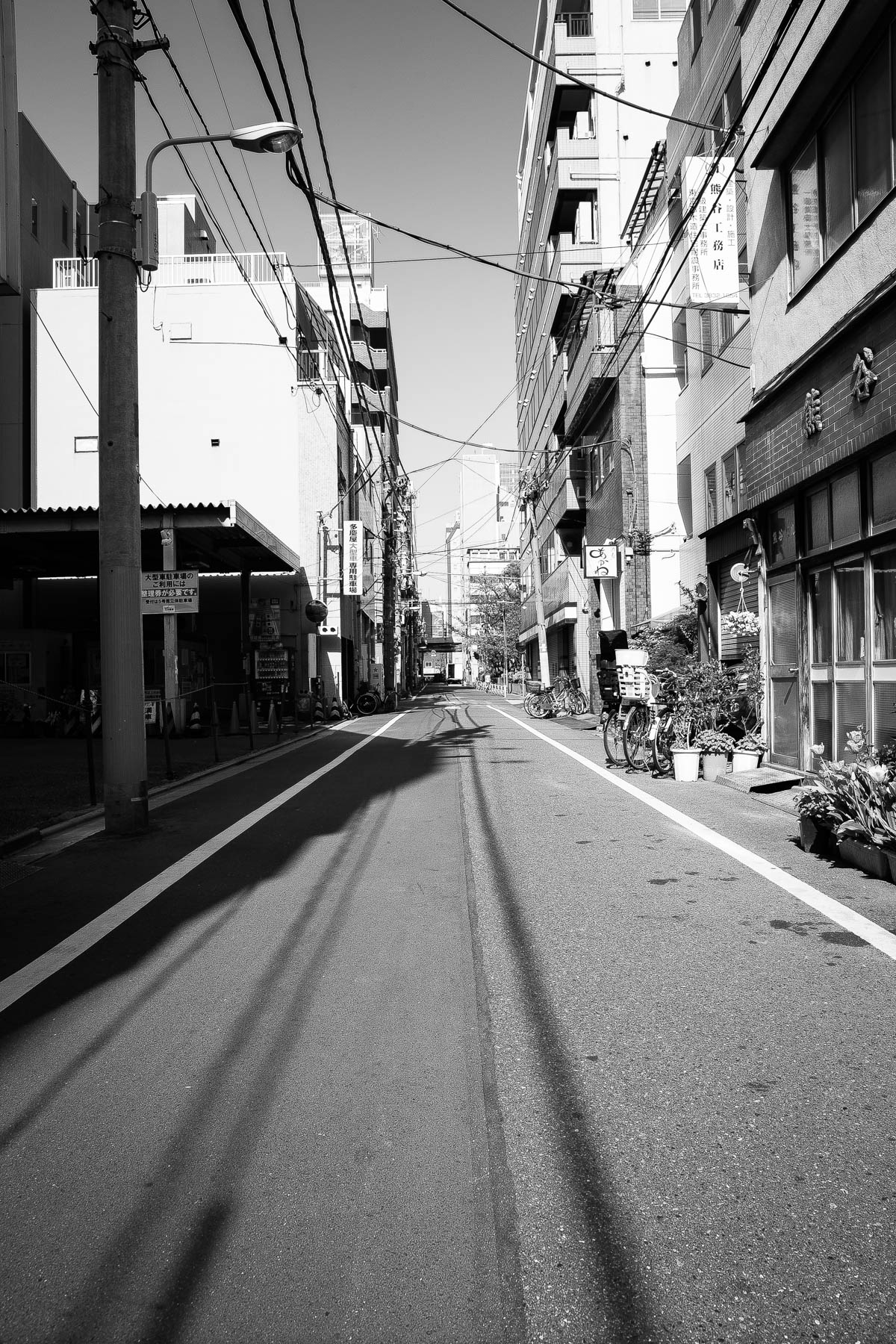 Tokyo Street