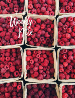 Summer Raspberries
