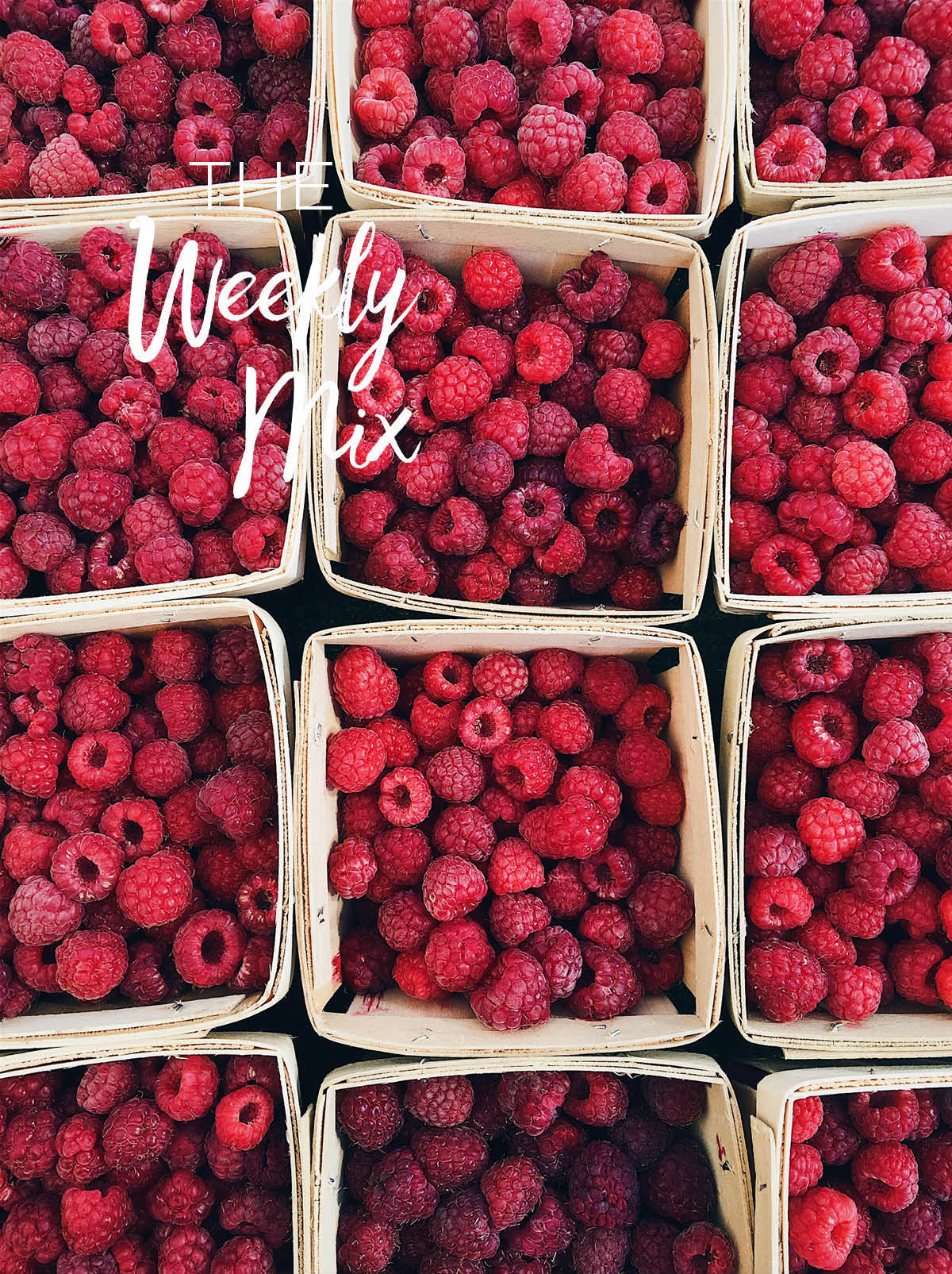 Summer Raspberries